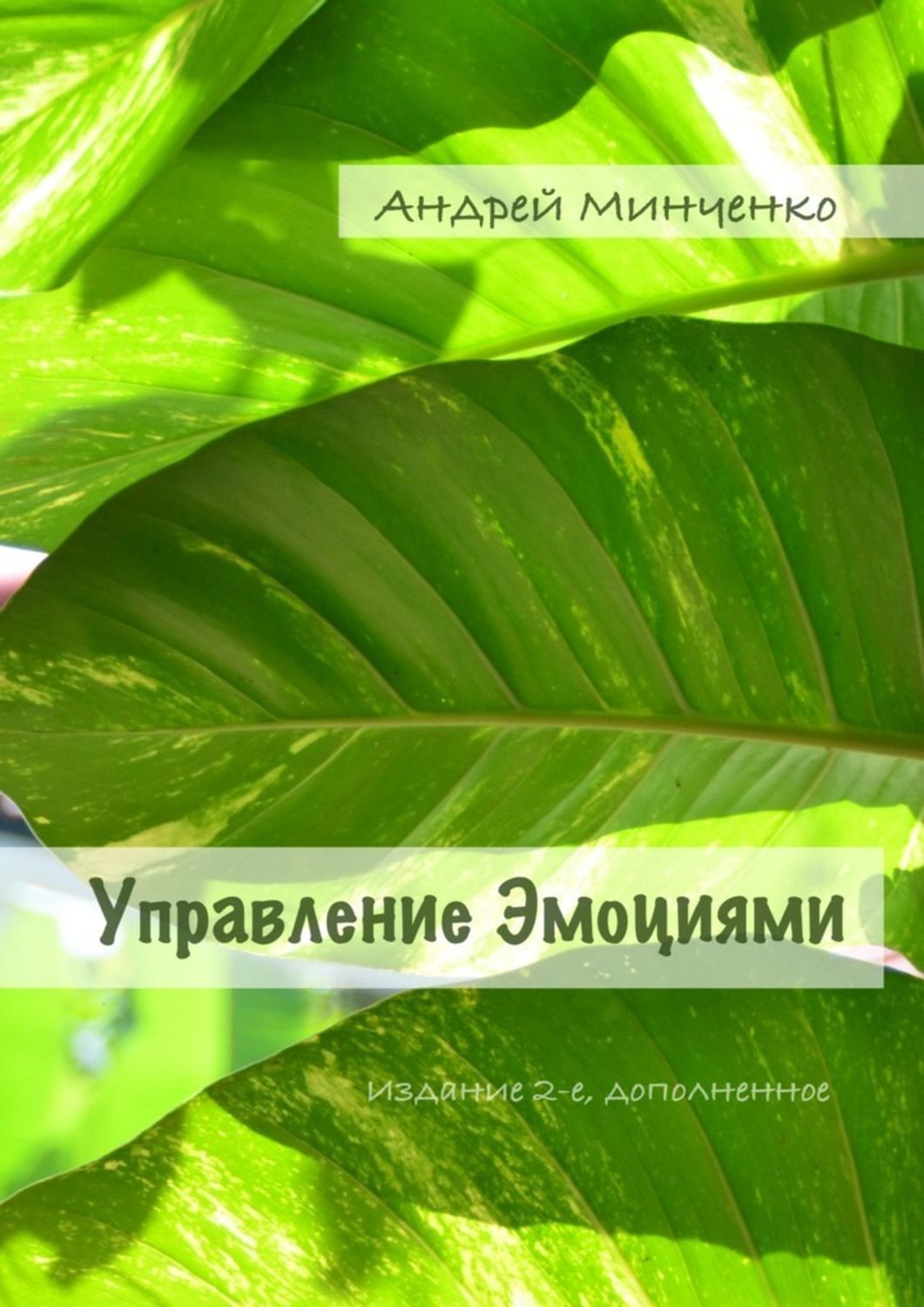 Книга Управление эмоциями. Издание 2-е, дополненное из серии , созданная Андрей Минченко, может относится к жанру Общая психология. Стоимость электронной книги Управление эмоциями. Издание 2-е, дополненное с идентификатором 43681834 составляет 320.00 руб.