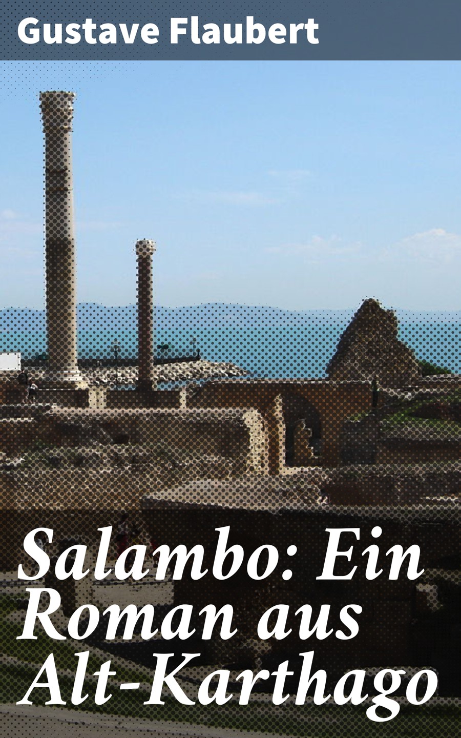 Salambo: Ein Roman aus Alt-Karthago