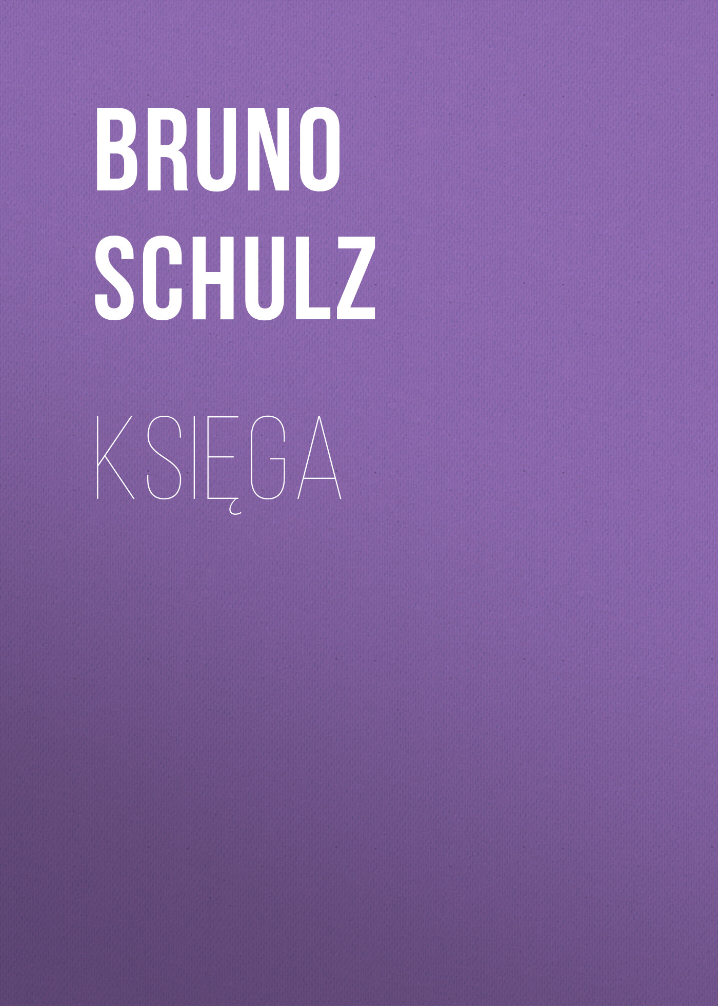 Księga, Bruno Schulz – скачать книгу бесплатно fb2, epub, pdf на ЛитРес