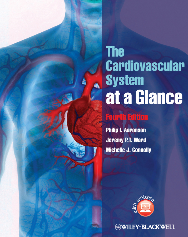 Cardiovascular system. The cardiovascular System обложка. Cardiovascular.