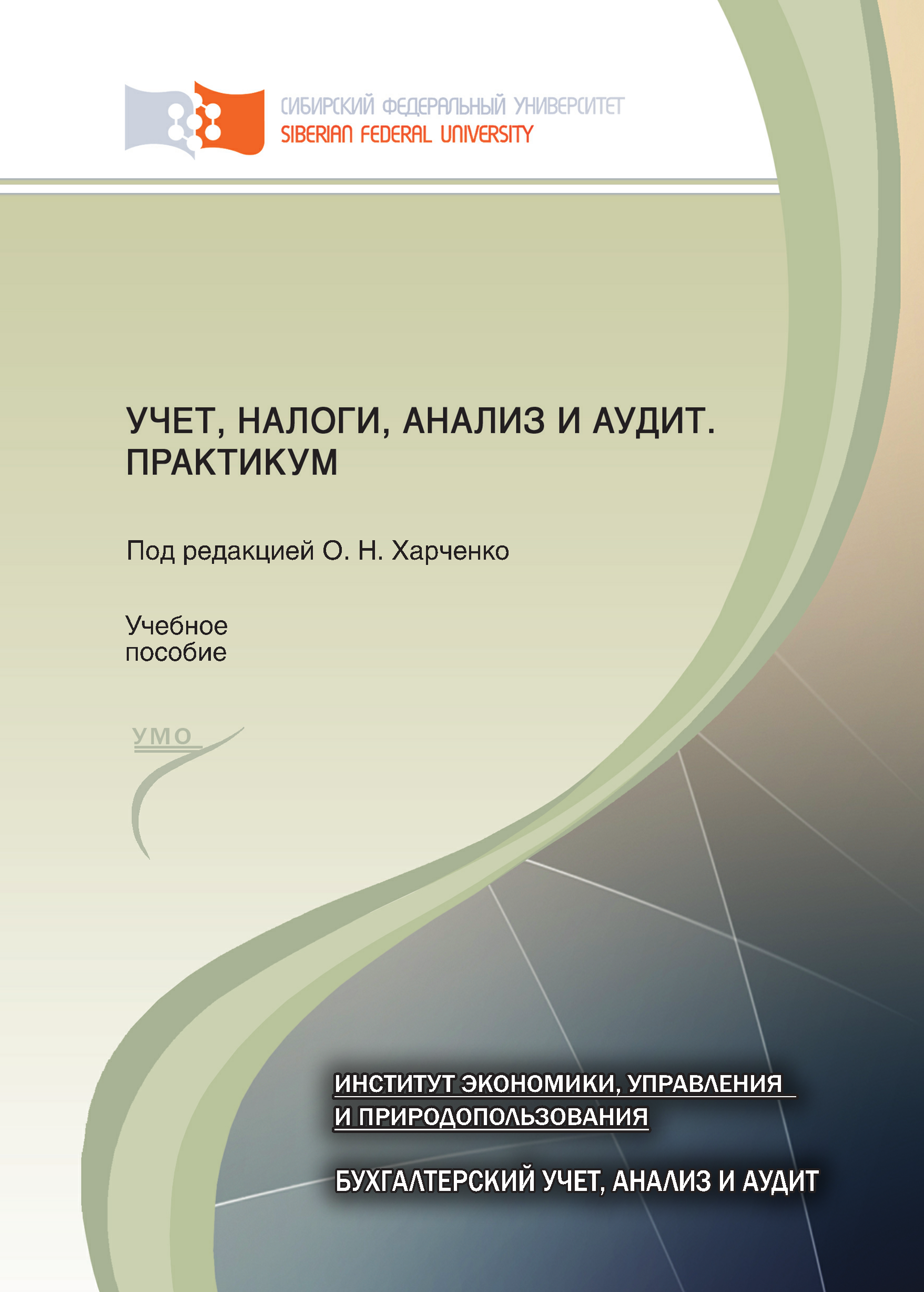 Анализ практикум. Аудит практикум Лебедева ответы. Аудиторская проверка практикум. Зотиков налоги практикум. Отзыв практикум анализ.