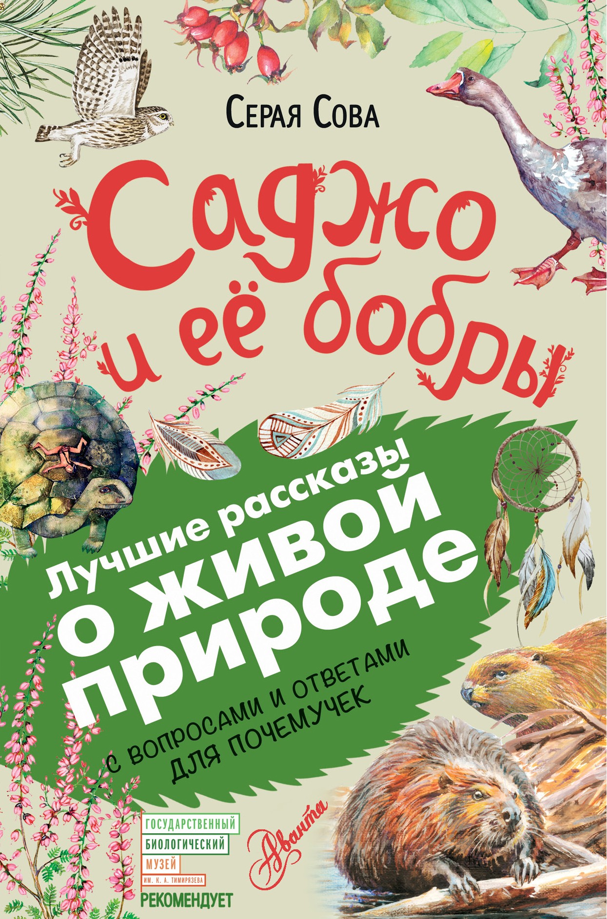 Саджо и ее бобры. С вопросами и ответами для почемучек, Серая Сова –  скачать книгу fb2, epub, pdf на ЛитРес