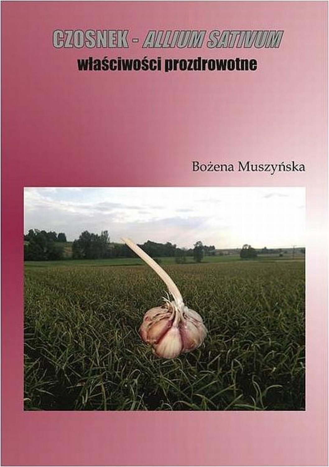 

Czosnek - allium sativum właściwości prozdrowotne