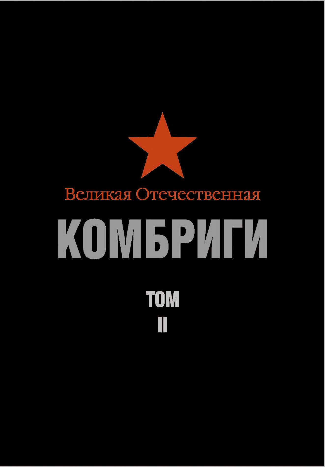 

Великая Отечественная. Комбриги. Военный биографический словарь. Т. 2