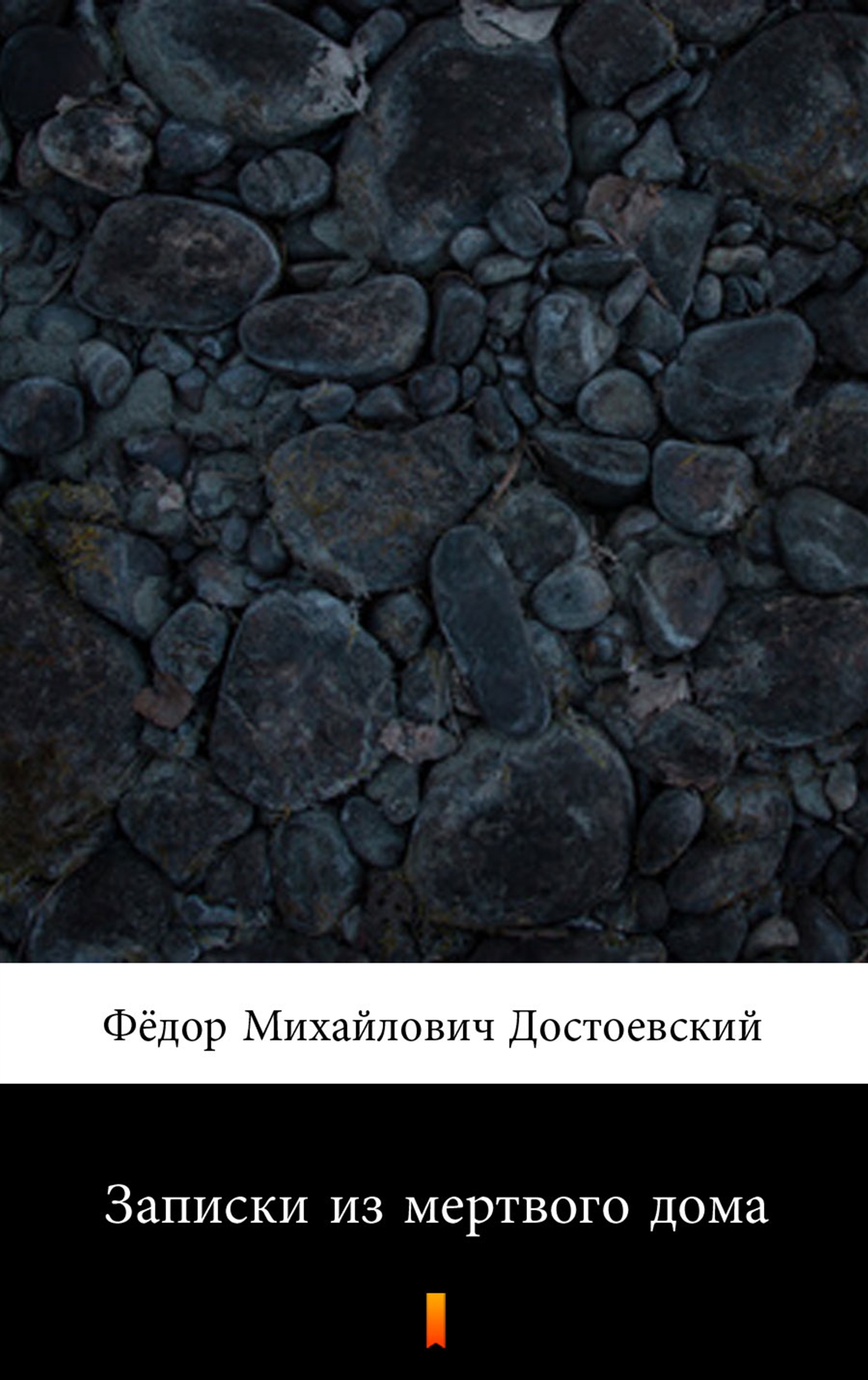 

Записки из мертвого дома (Wspomnienia z domu umarłych)