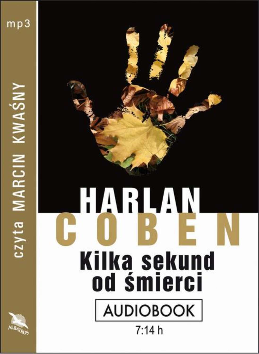 

Kilka sekund od śmierci