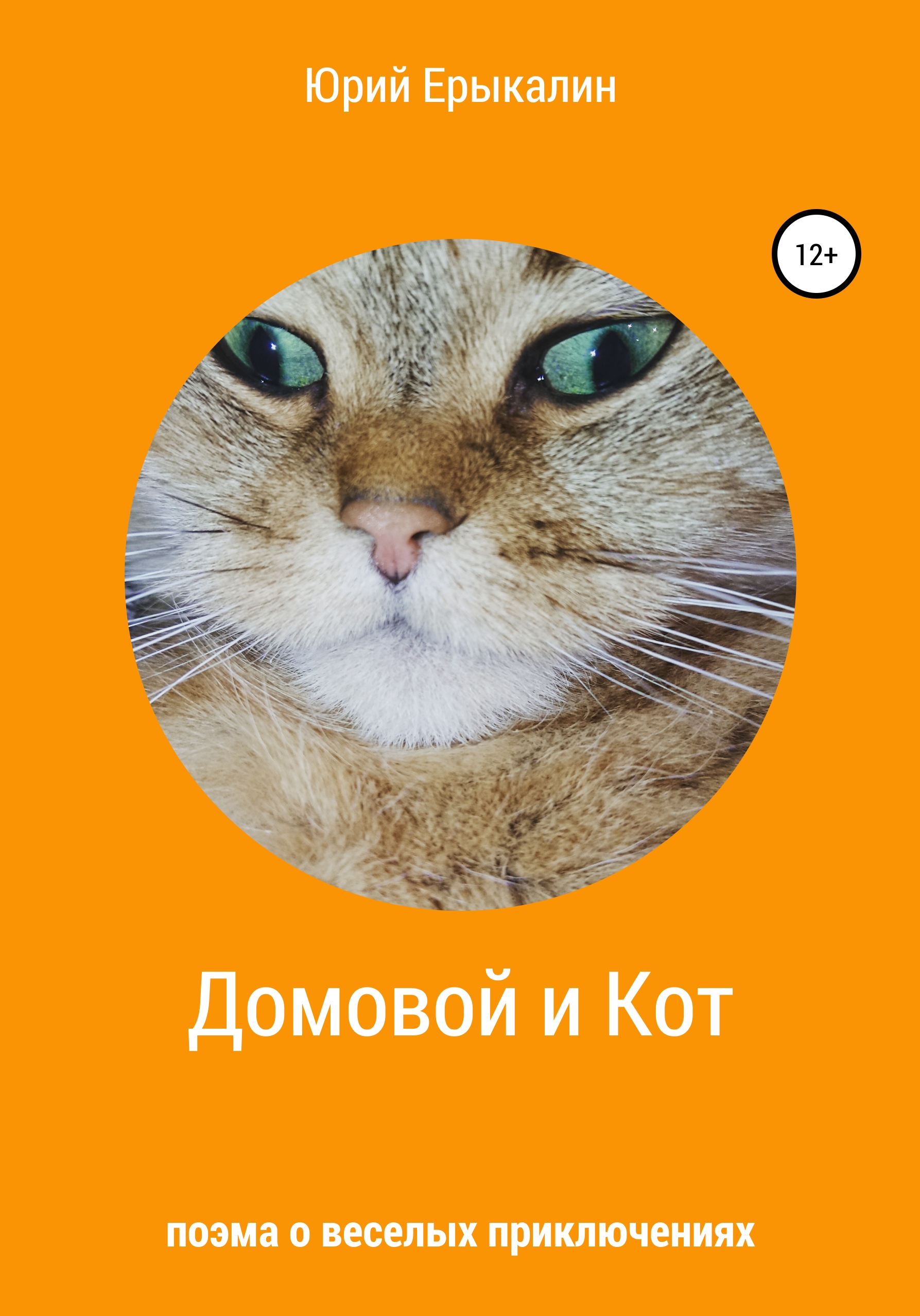 Домовой и Кот, Юрий Ерыкалин – скачать книгу fb2, epub, pdf на ЛитРес