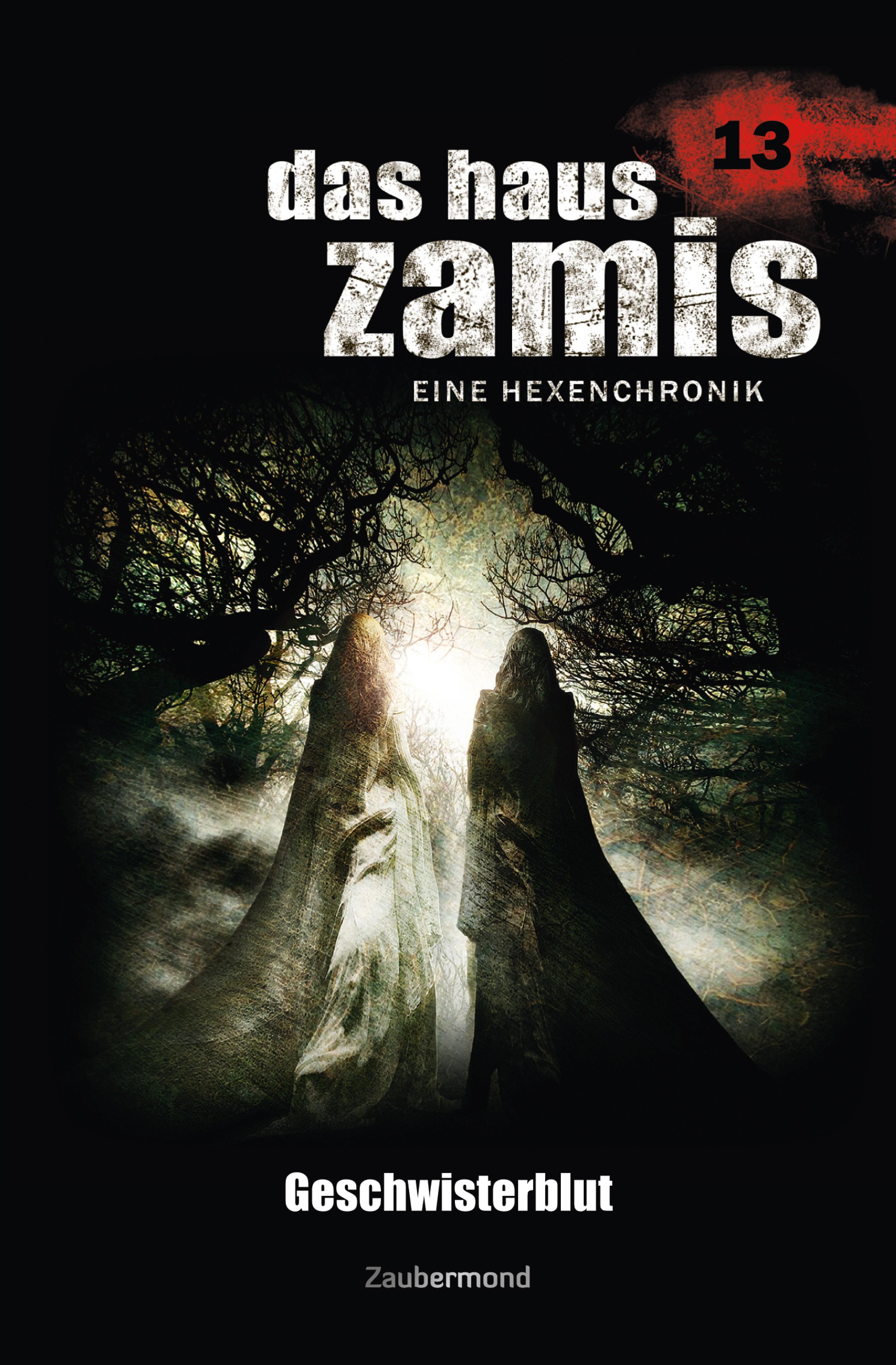 Das Haus Zamis 13 - Geschwisterblut