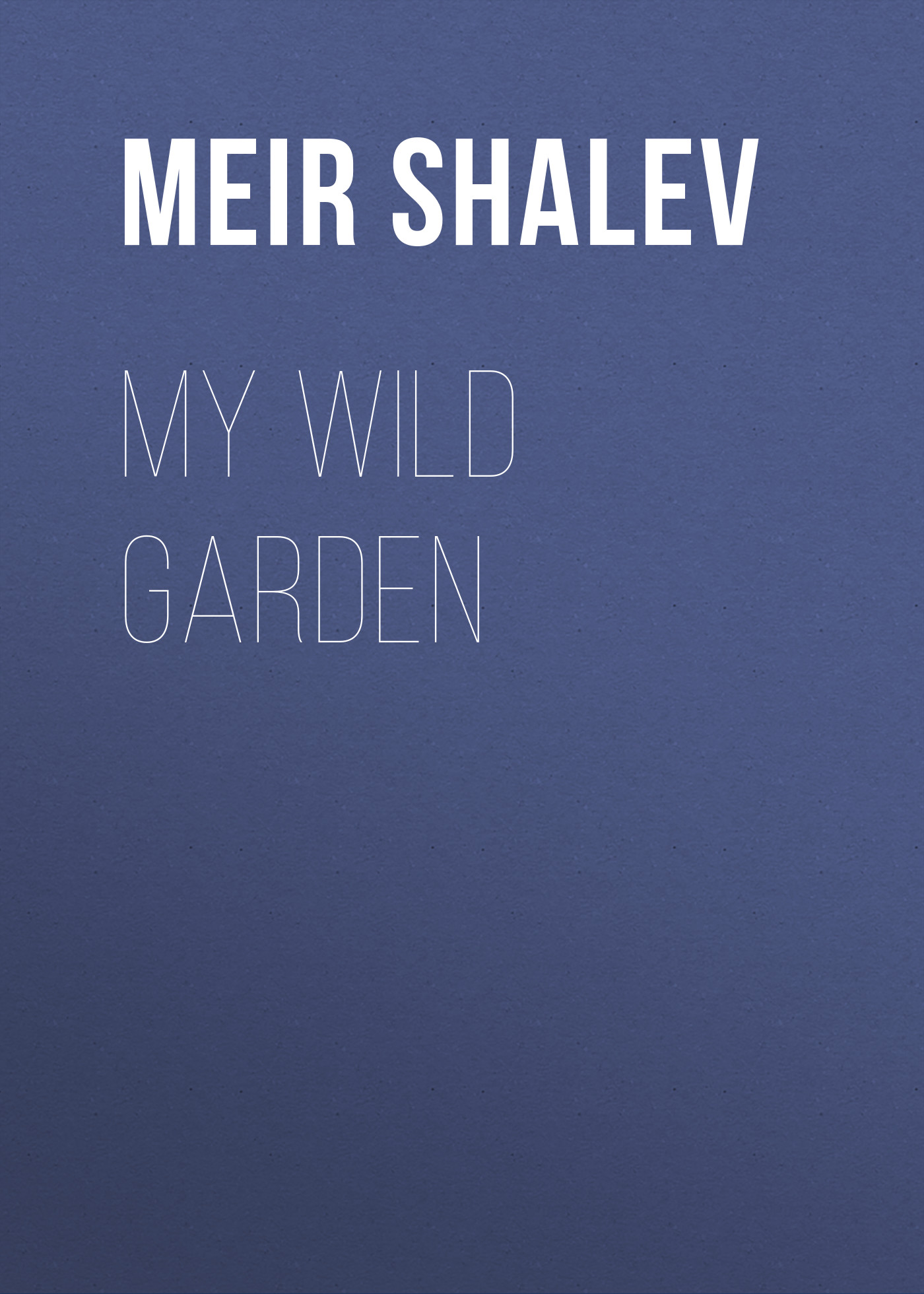 

My Wild Garden