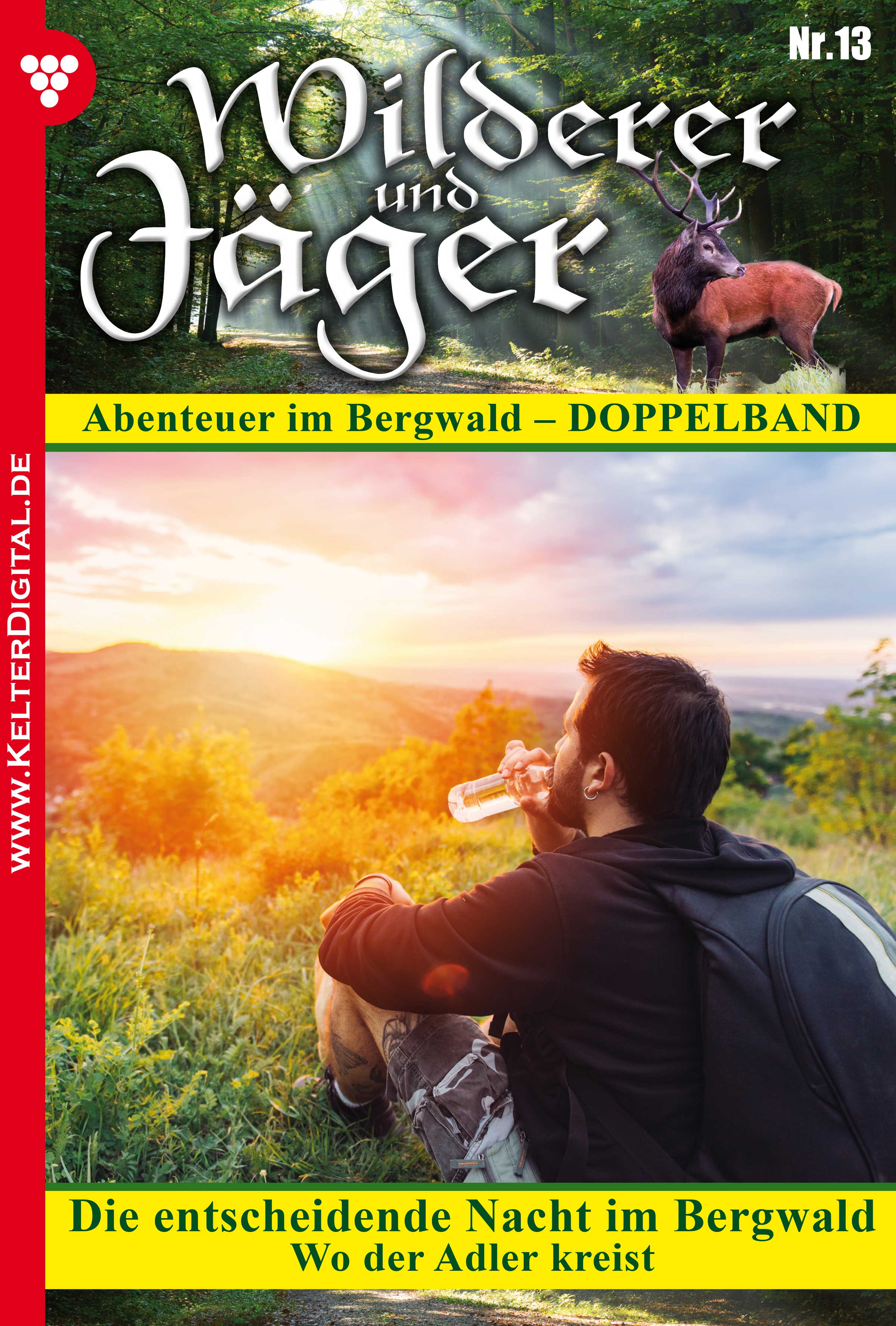 Wilderer und Jäger 13 – Heimatroman