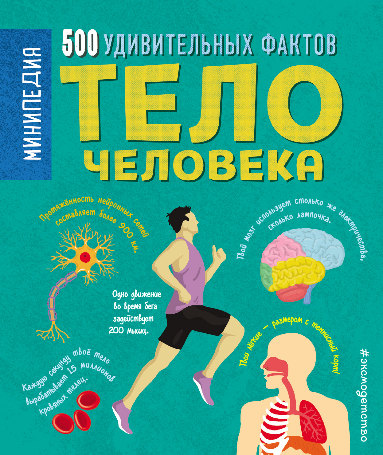 

Тело человека. 500 удивительных фактов