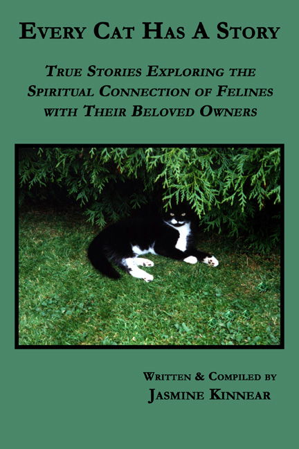 

Every Cat Has A Story: True Stories Exploring the Spiritual Connection of Felines with Their Beloved Owners
