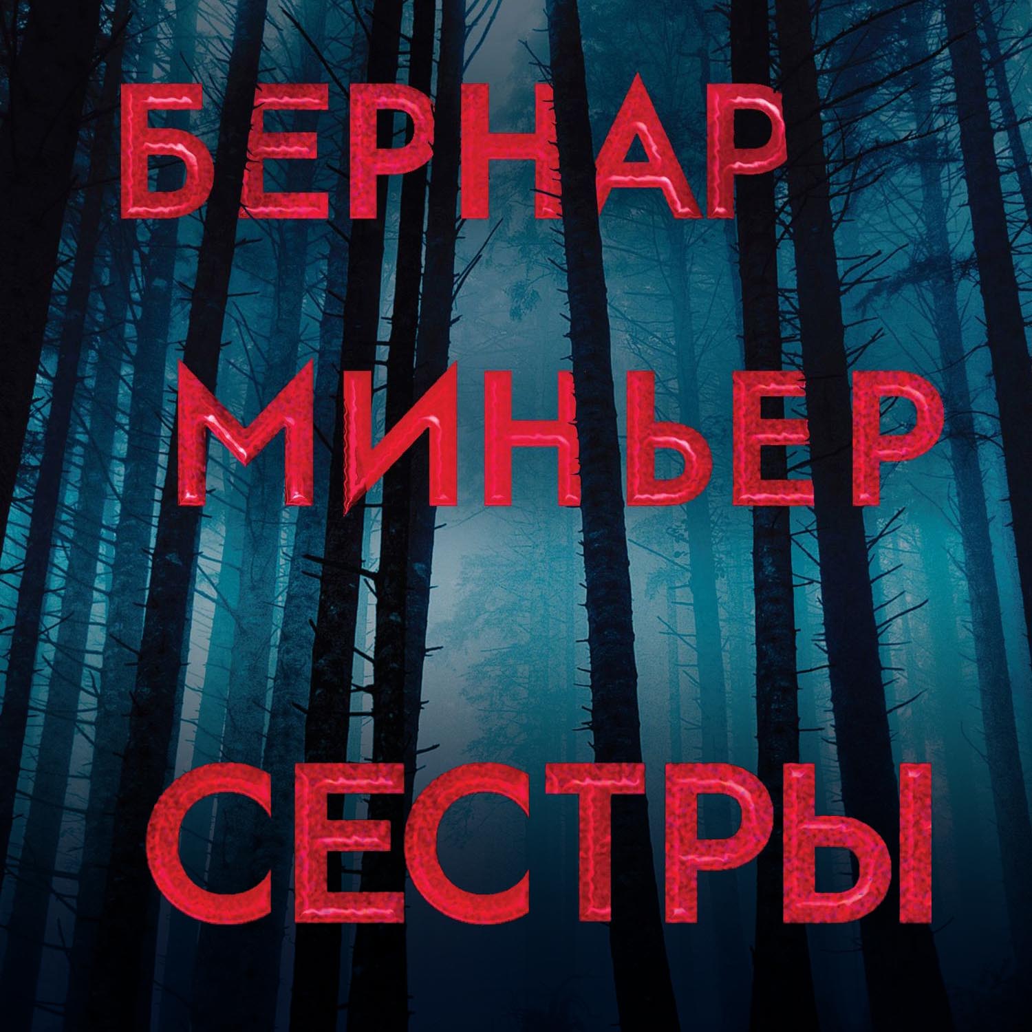 Книга сестры. Миньер Бернар 