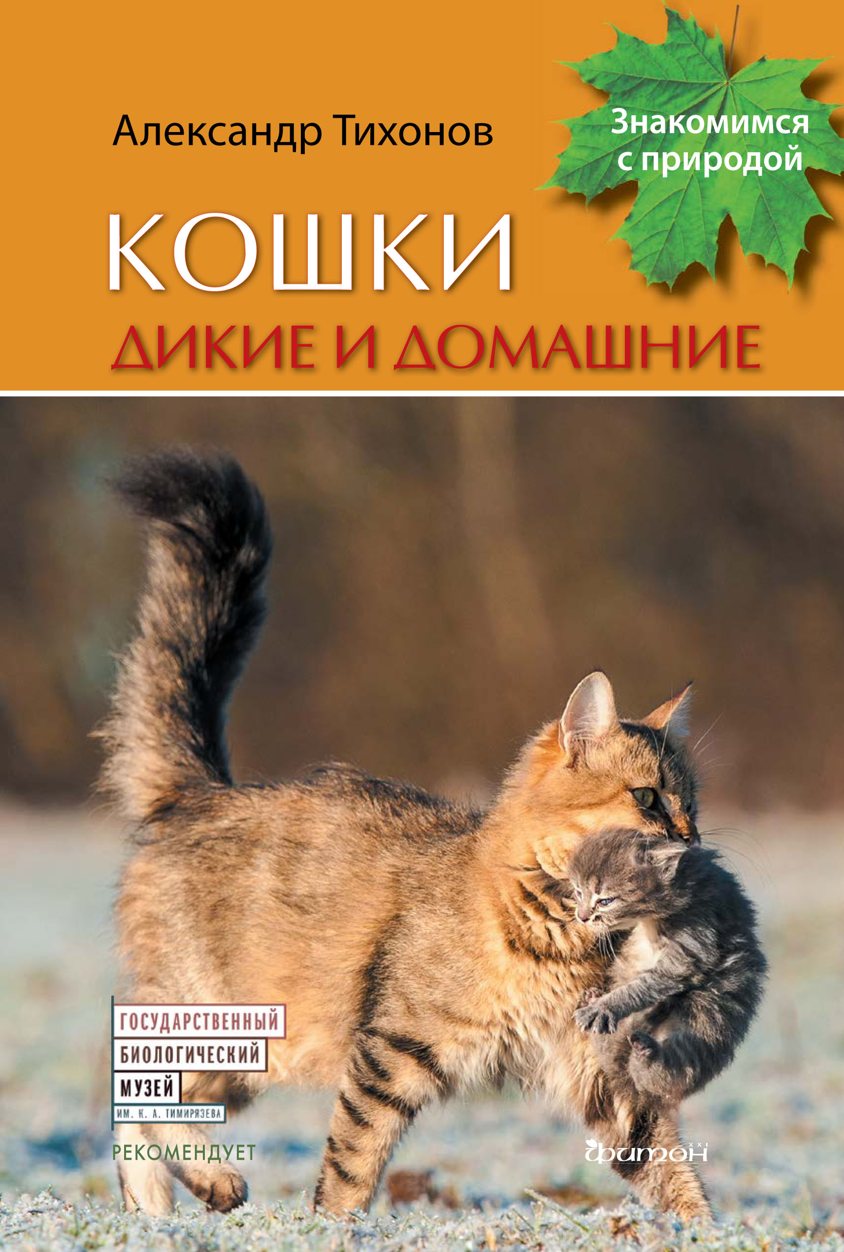 

Кошки дикие и домашние