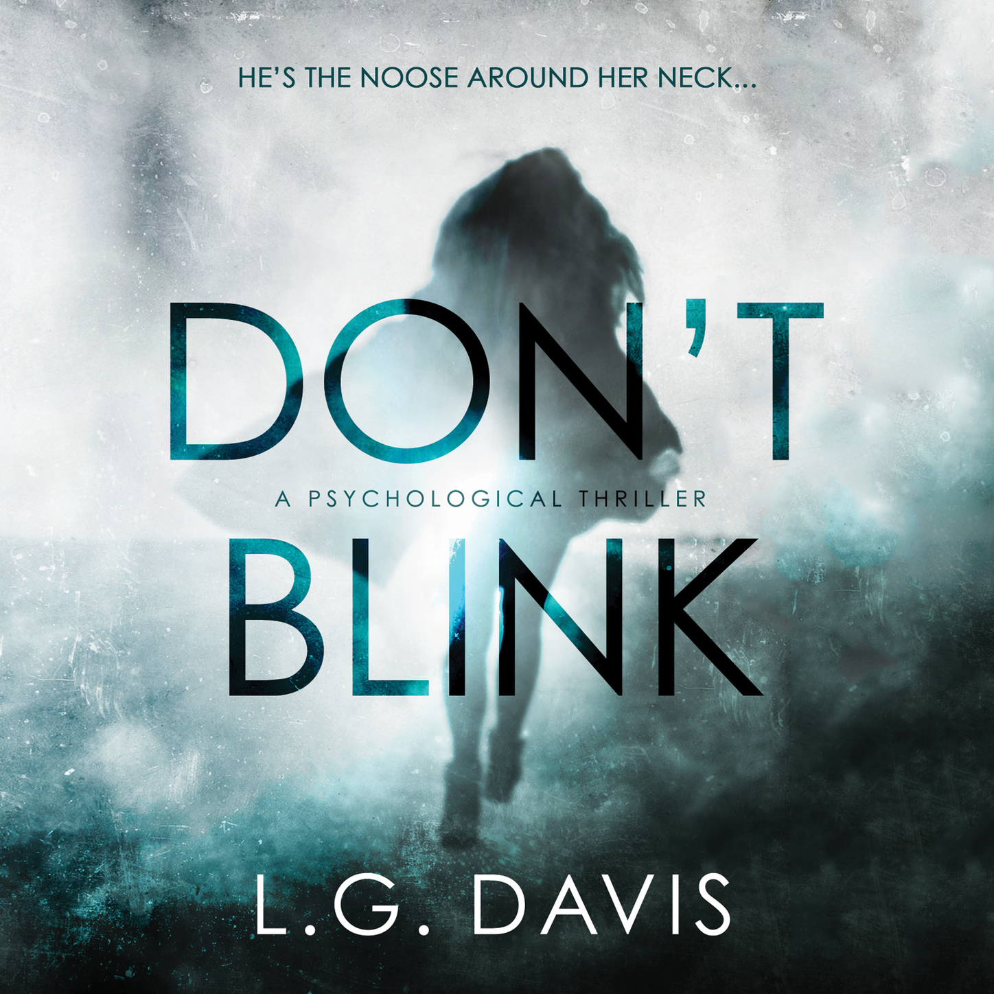 L.G. Davis Don't Blink - A Gripping Psychological Thriller (Unabridged) amanda brittany her last lie a gripping psychological thriller with a shocking twist
