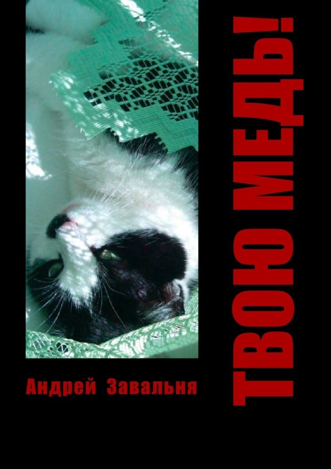 

Твою медь!