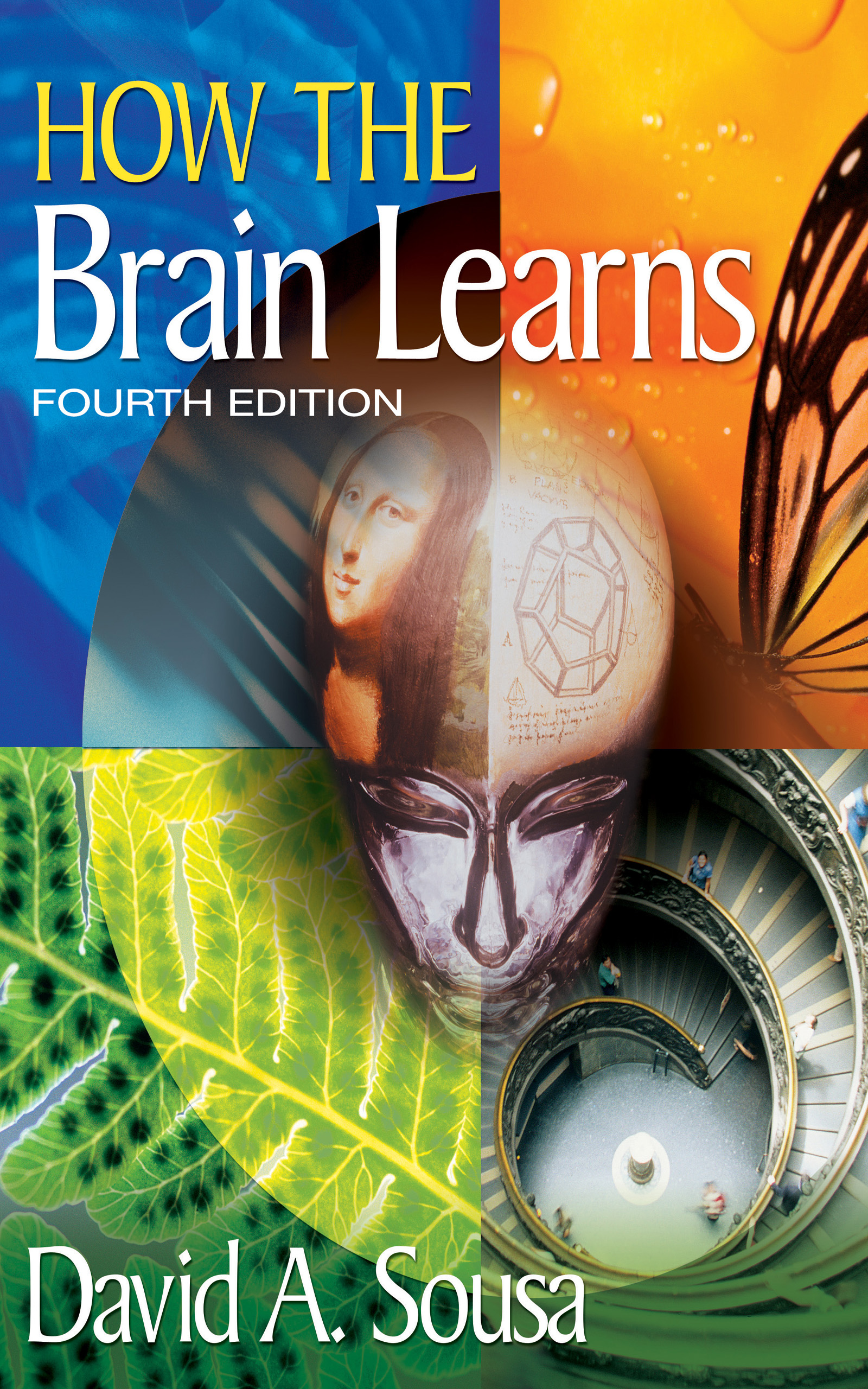 

How the Brain Learns