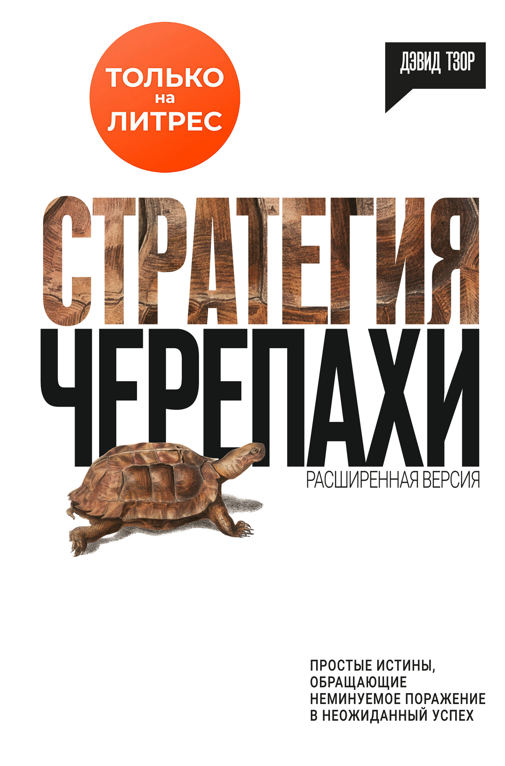 Стратегия черепахи, Дэвид Тзор – скачать книгу fb2, epub, pdf на ЛитРес