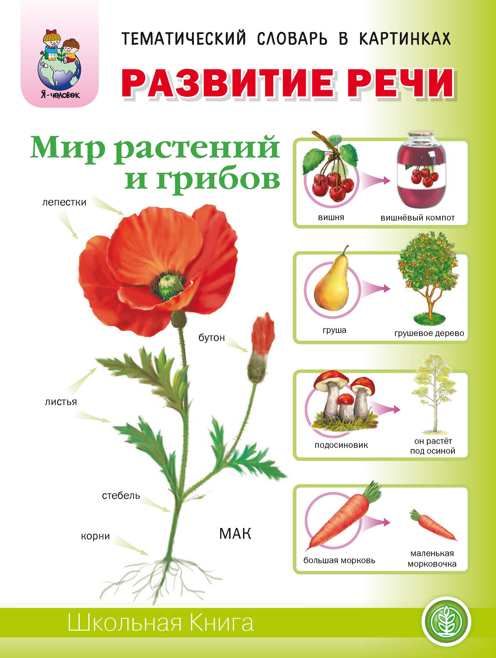 Мир Растений Картинки Для Детей