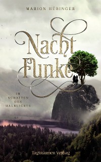 Nachtfunke 2