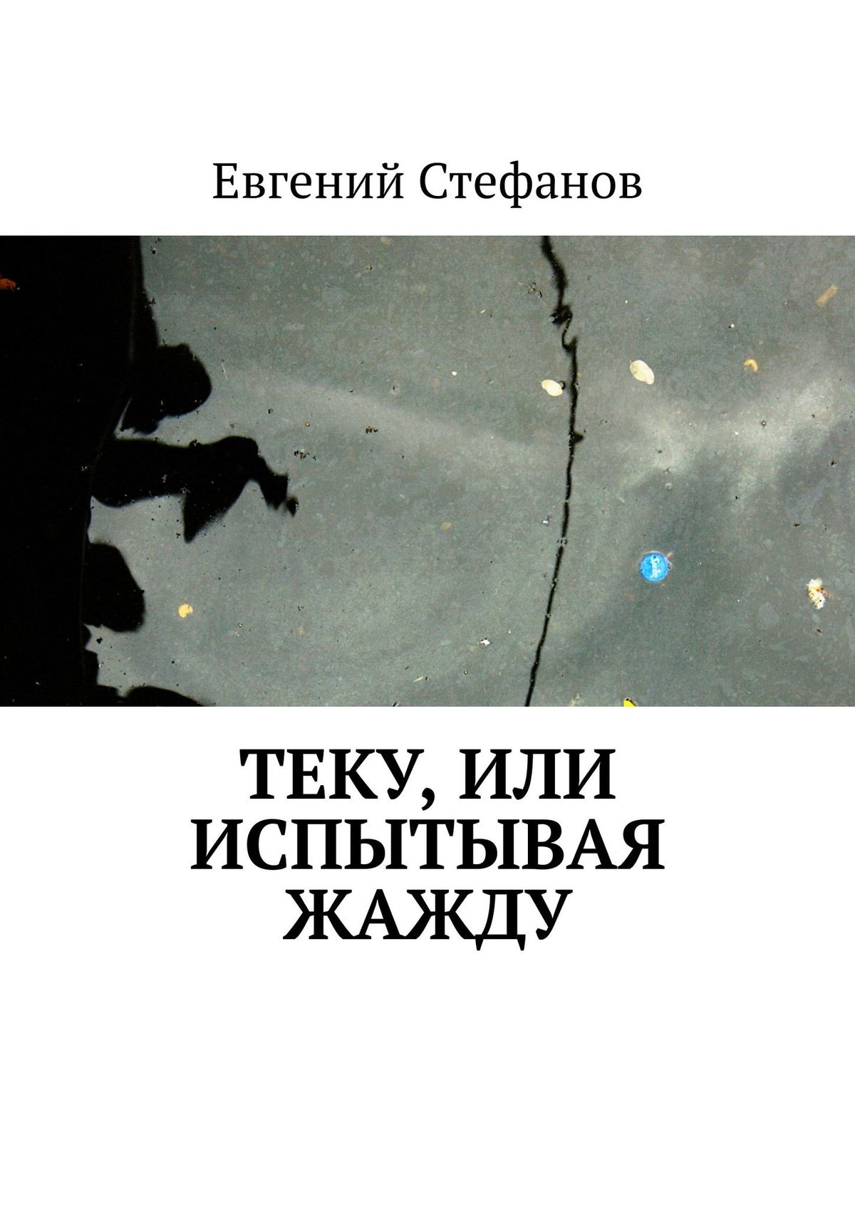 Книга текла. Евгений Стефанов. Евгения Стефан. Жажда аннотация.