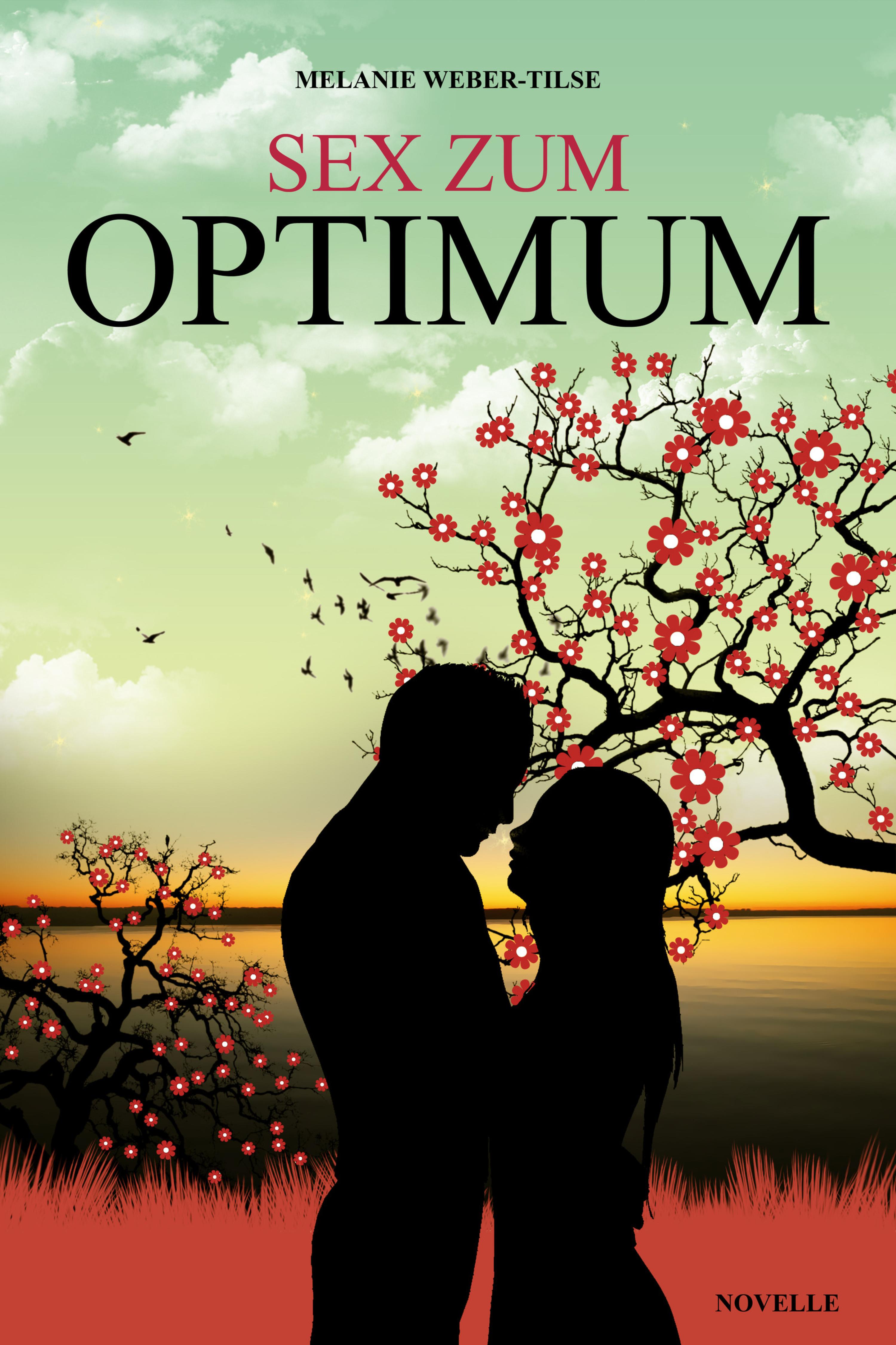 Sex zum Optimum, Melanie Weber-Tilse – скачать книгу fb2, epub, pdf на  ЛитРес
