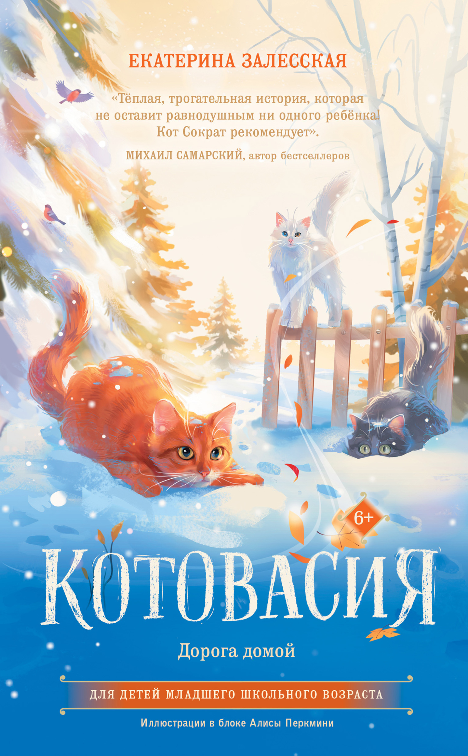 Котовасия. Дорога домой, Екатерина Залесская – скачать книгу fb2, epub, pdf  на ЛитРес