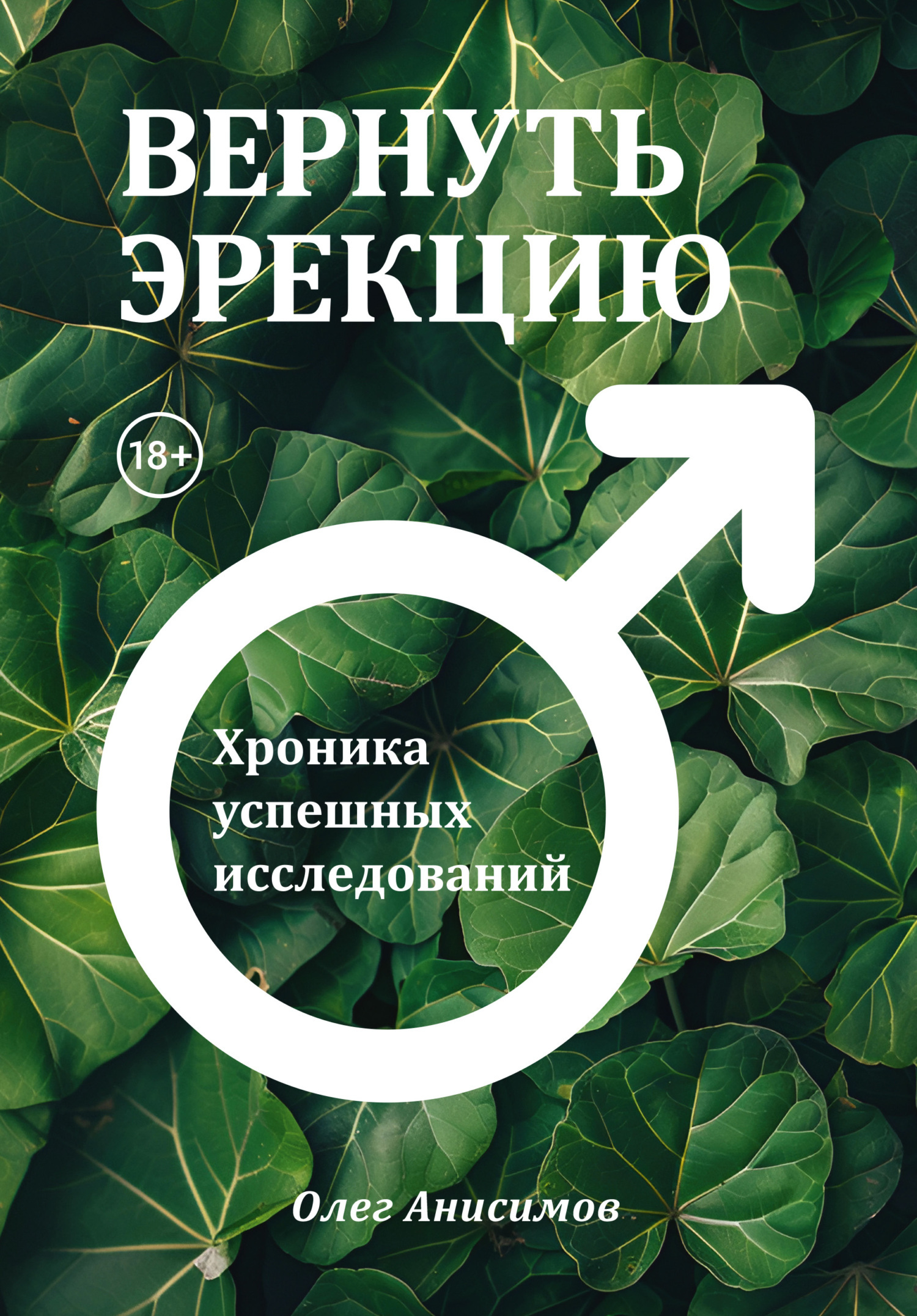 Вернуть эрекцию. Хроника успешных исследований, Олег Анисимов – скачать  книгу fb2, epub, pdf на ЛитРес