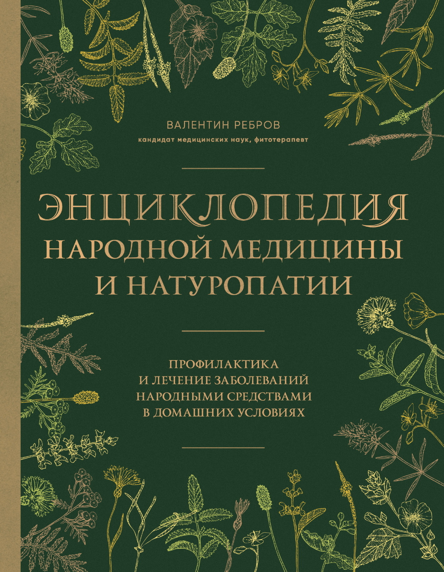 Энциклопедия народной медицины и натуропатии. Профилактика и лечение  заболеваний народными средствами в домашних условиях, Валентин Ребров –  скачать книгу fb2, epub, pdf на ЛитРес