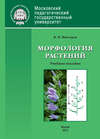 Морфология растений