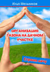 Организация газона на дачном участке