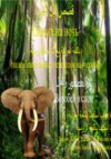 قصص قبل النوم: العصفور والفيل / Сказки на ночь: 3. Воробей и слон