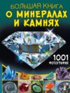 Большая книга о минералах и камнях. 1001 фотография
