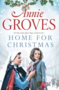 Home for Christmas - Annie Groves