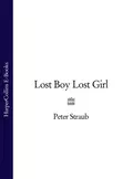 Lost Boy Lost Girl - Peter  Straub