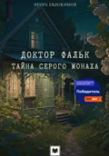 Доктор Фальк. Тайна серого монаха - Игорь Евдокимов
