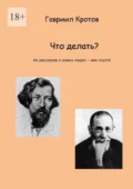 Что делать? Из рассказов о новых людях – век спустя - Гавриил Яковлевич Кротов