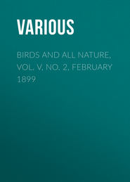 Birds and all Nature, Vol. V, No. 2, February 1899