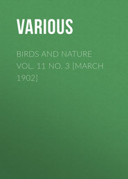 Birds and Nature Vol. 11 No. 3 [March 1902]