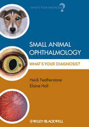 Small Animal Ophthalmology. What\'s Your Diagnosis?