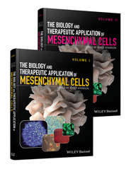 The Biology and Therapeutic Application of Mesenchymal Cells