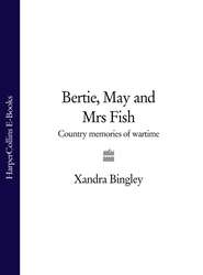 Bertie, May and Mrs Fish