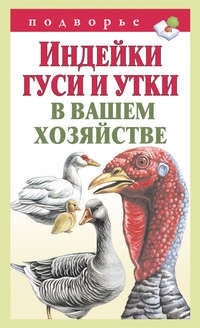 Правильный и удобный птичник – кормушки и поилки, гнезда и насесты | Курочка | Дзен