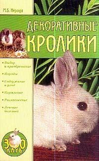 Декоративный кролик: уход и содержание в домашних условиях - ветклиника 