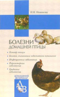 Куры лысеют на спине и сзади – что делать, причины и чем лечить