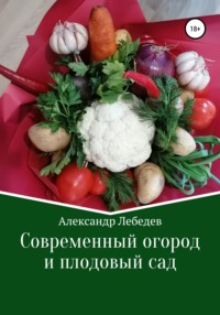 Плодовые деревья: советы и правила размещения культур