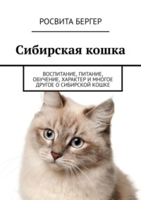 20 лучших новогодних представлений для детей в Москве в 2024-2025 году – ёлки и шоу