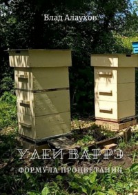 Ульи двухкорпусные Дадана-Блатта на 12 рамок с наклонным дном