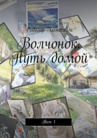 71067238 [Родогор Хоэнхайм] Волчонок. Путь домой. Том 1