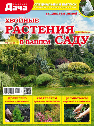 ᐉ Пропитка для дерева «ЛЮБИМАЯ ДАЧА» - купить защитно-декоративное покрытие в Минске